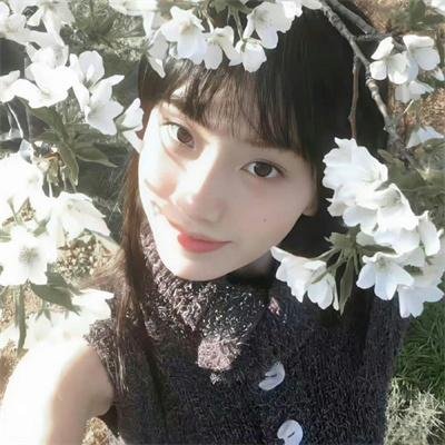 科举文女配，那我只好位极人臣了